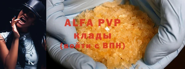 твердый Арсеньев