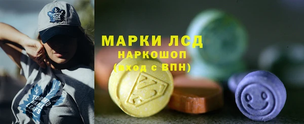 стафф Алзамай