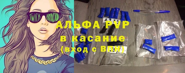 сатива Аркадак