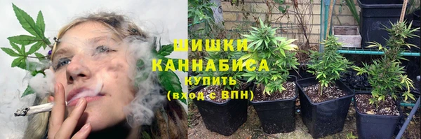 сатива Аркадак
