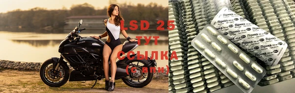 сатива Аркадак
