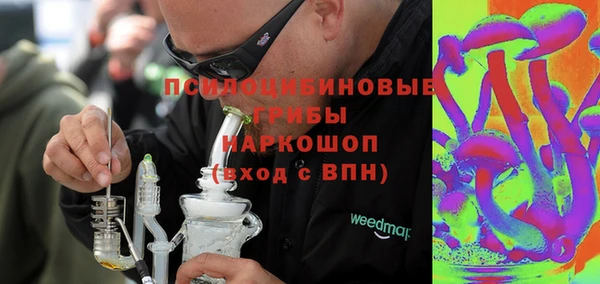 сатива Аркадак
