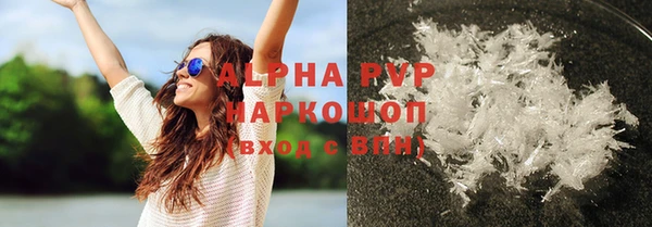 сатива Аркадак