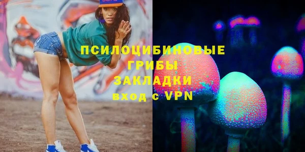 сатива Аркадак