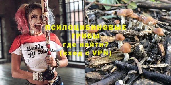 твердый Арсеньев