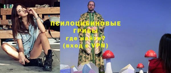 сатива Аркадак