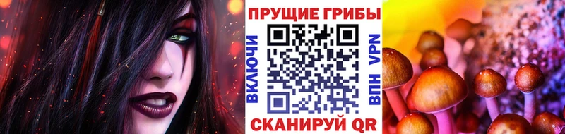 Галлюциногенные грибы мухоморы  Вихоревка 